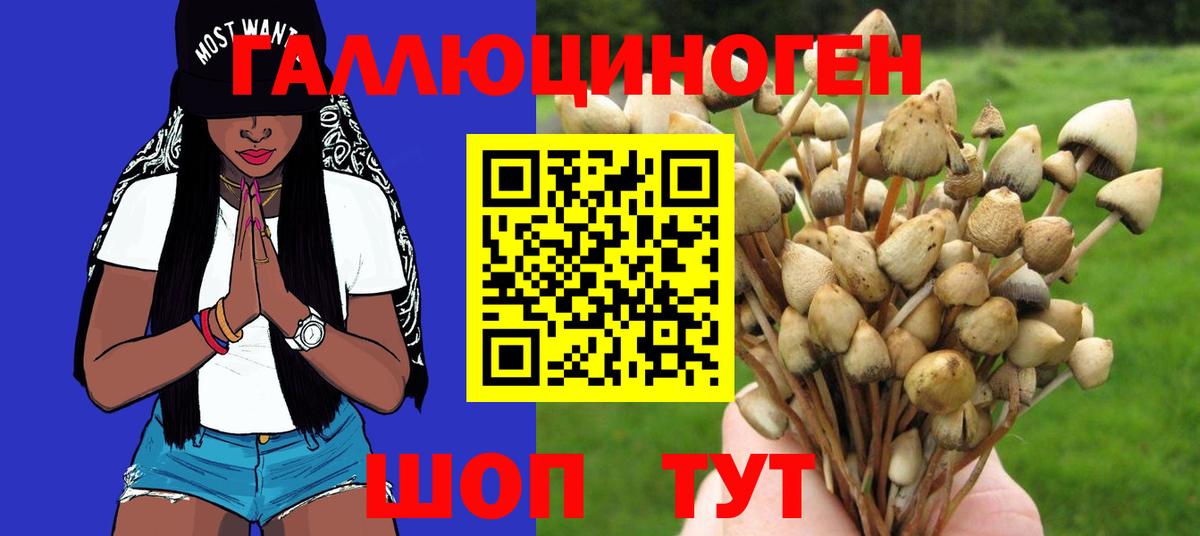 Псилоцибиновые грибы MAGIC MUSHROOMS Верхняя Салда